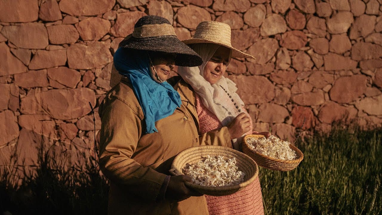 FIGARO x YVES SAINT LAURENT - Dans la vallée de l'Ourika au Maroc